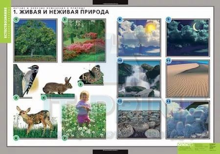 Комплект таблиц "Летние и осенние изменения в природе" (13 таблиц + 32 карт.)