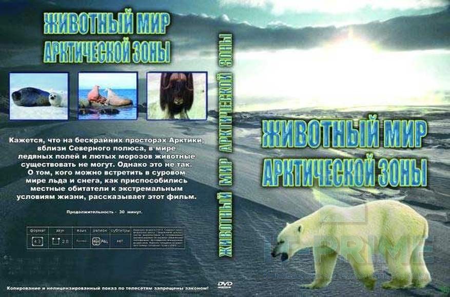 Учебный фильм "Животный мир Арктической зоны"