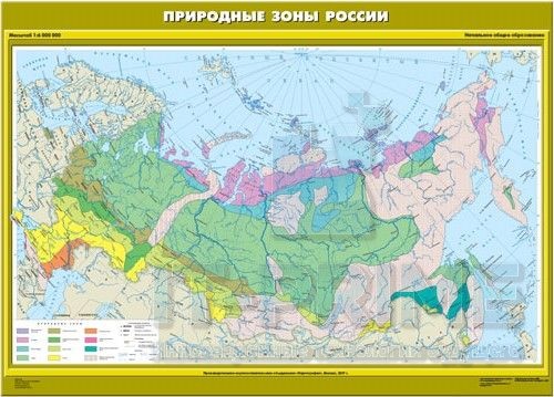 Карта "Природные зоны России" Начальная школа (100*140 см)