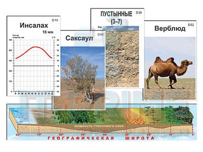 Модель-аппликация "Природные зоны" (ламинированная)