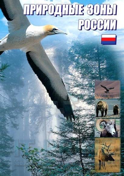Учебный фильм "Природные зоны России"
