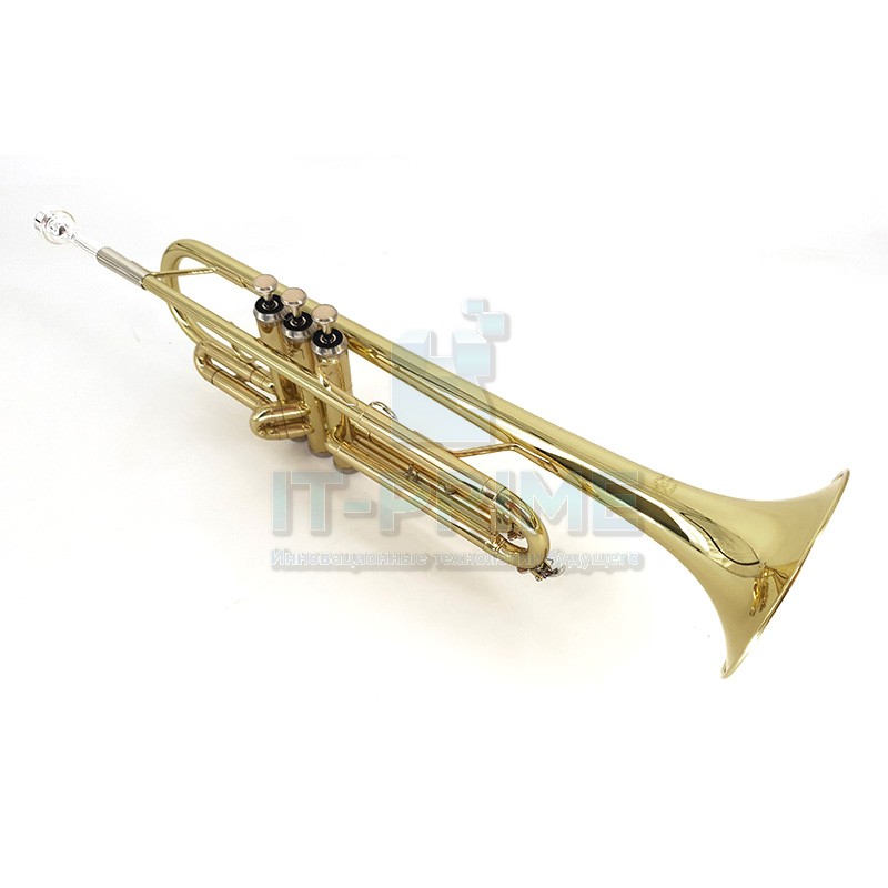 Труба Bb "student model" в кейсе J.Michael TR-200