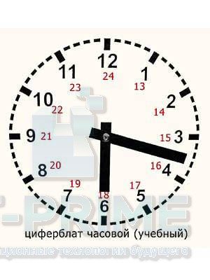 Часовой циферблат раздаточный