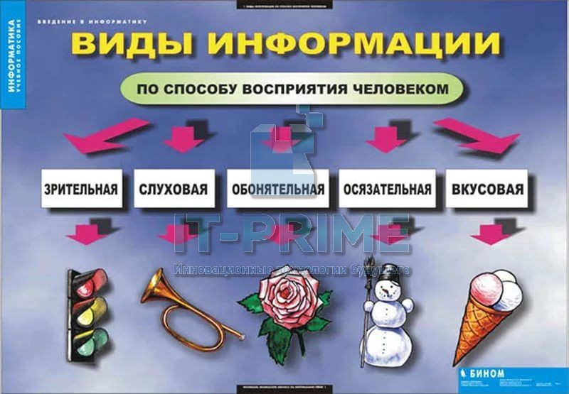 Комплект таблиц "Введение в информатику" (12 таблиц)