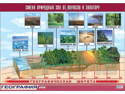 Таблица демонстрационная "Смена природных зон от полюсов к экватору" (винил 100x140)