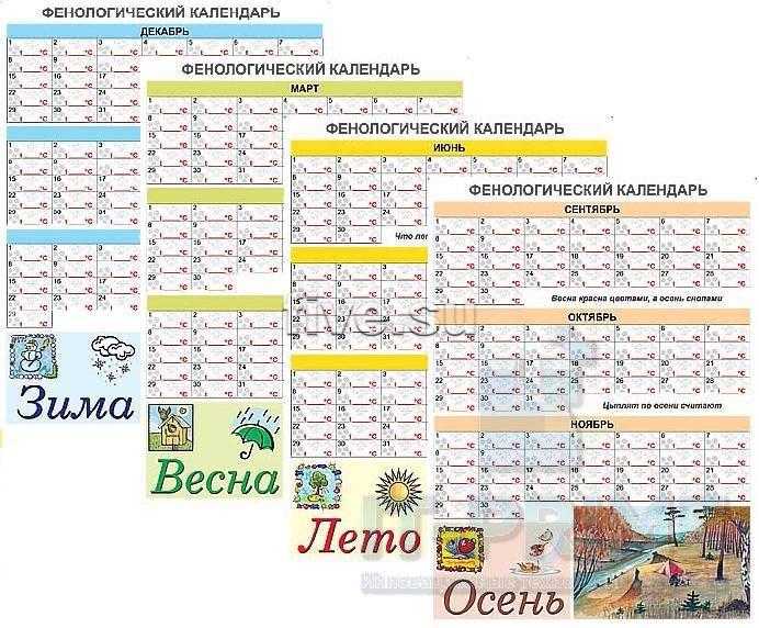Фенологический календарь