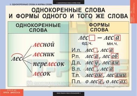 Комплект таблиц «Русский язык 2 класс» (8 таблиц)